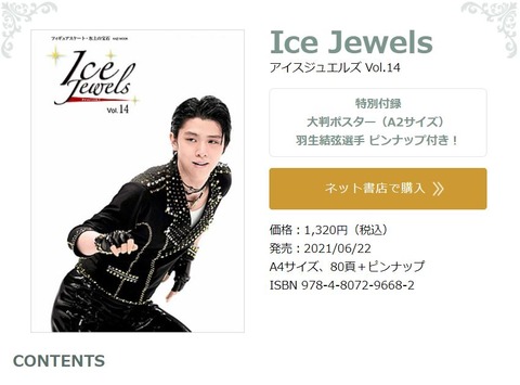 Ice Jewels 14  1