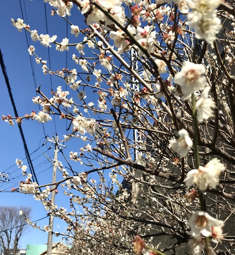 95644098-82E8-4112-86C3-41C7ACEA05BA