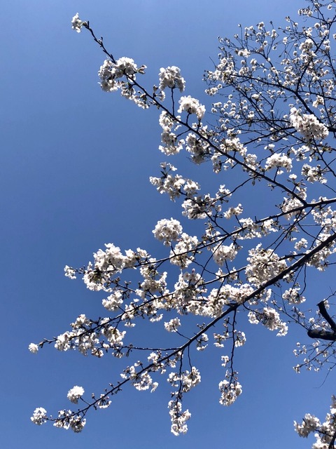 138732E9-6DB1-4914-A123-B6AE5037C796