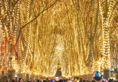 仙台　光のページェント