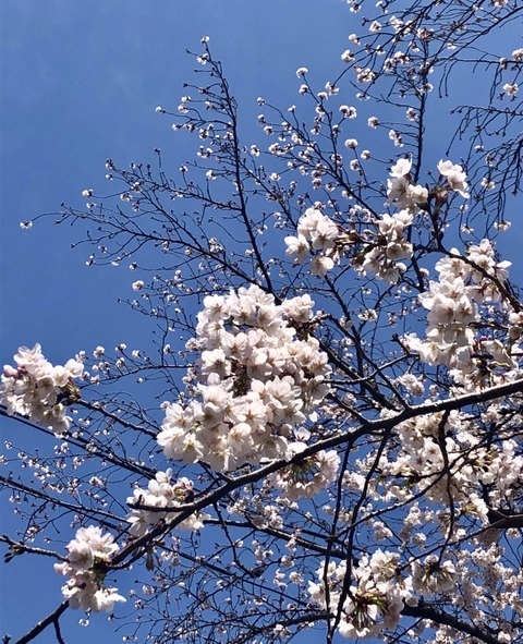 22E2A2A9-5AF6-4BDB-B856-33171C0C693B