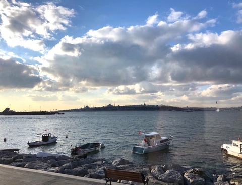 FullSizeRender (172)