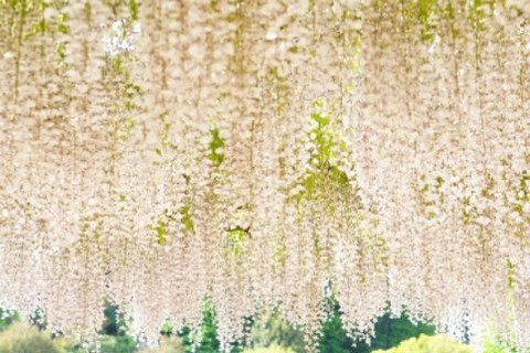 伊藤聡美 insta storry  2