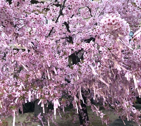 DAA1C6F4-33AD-45D7-89CD-D5AFA3EF4921