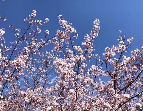 B8941D54-A72C-48B8-980C-F44D3F3D7F4E