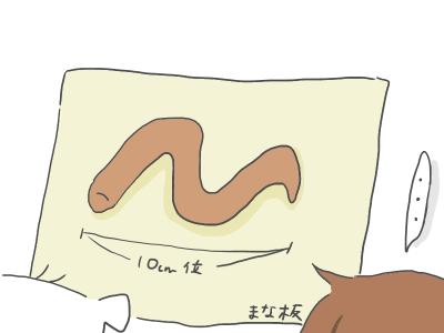 miso4.jpg