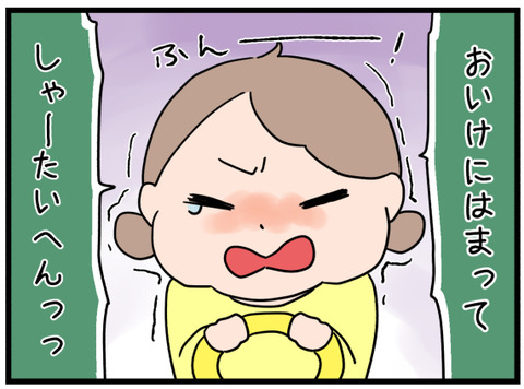 補助便座BGM6