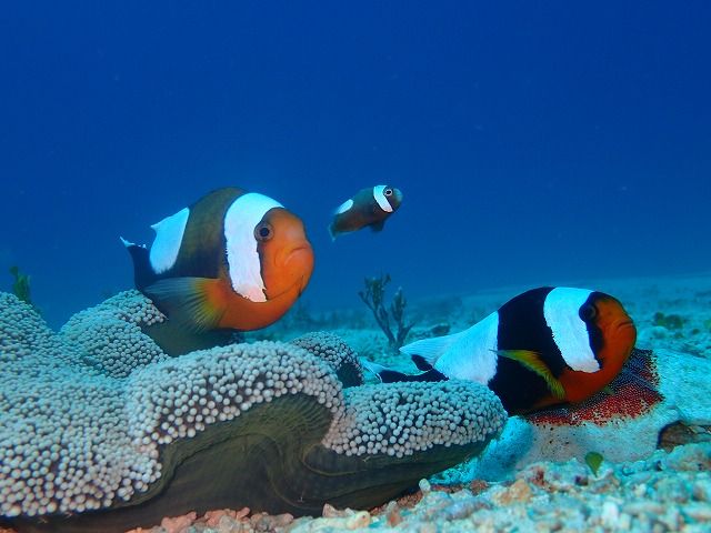 P4080122