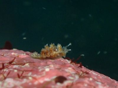 image2 (7)