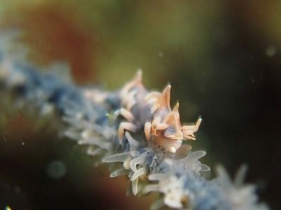 P3303151