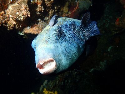 P2140028