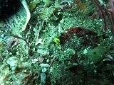 IMG_0087