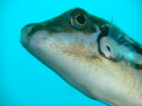 DSCF1516
