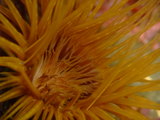 DSCF1498
