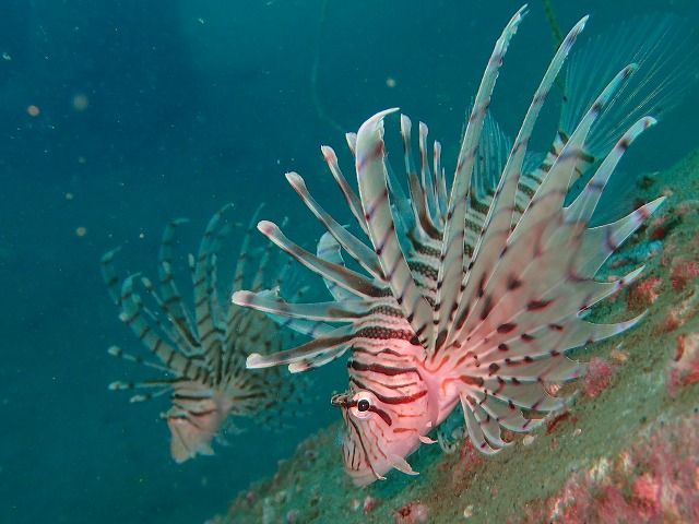 PA143898
