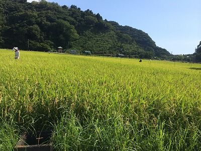 IMG_5083