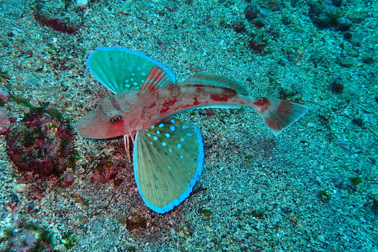 P2230017