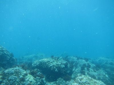 IMG_2255