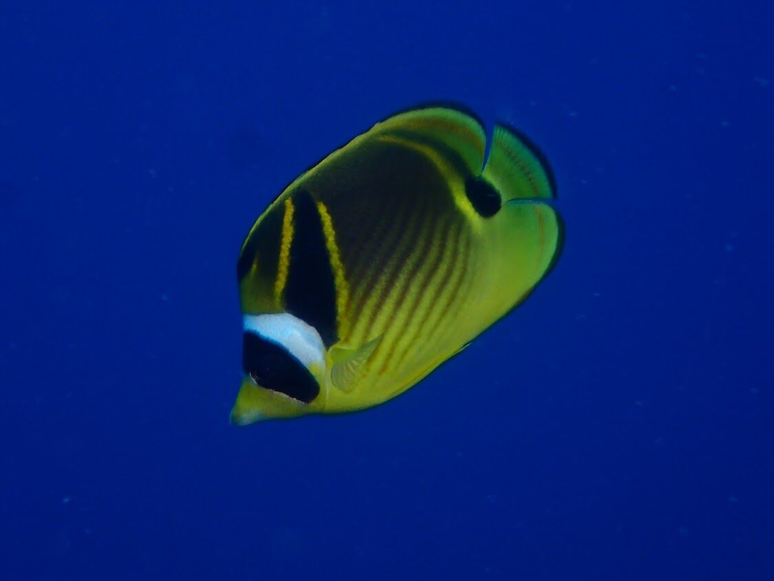 29B077BB-A2D8-4FF6-B288-86B59D8253A3