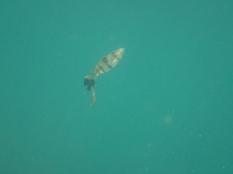 P7301691