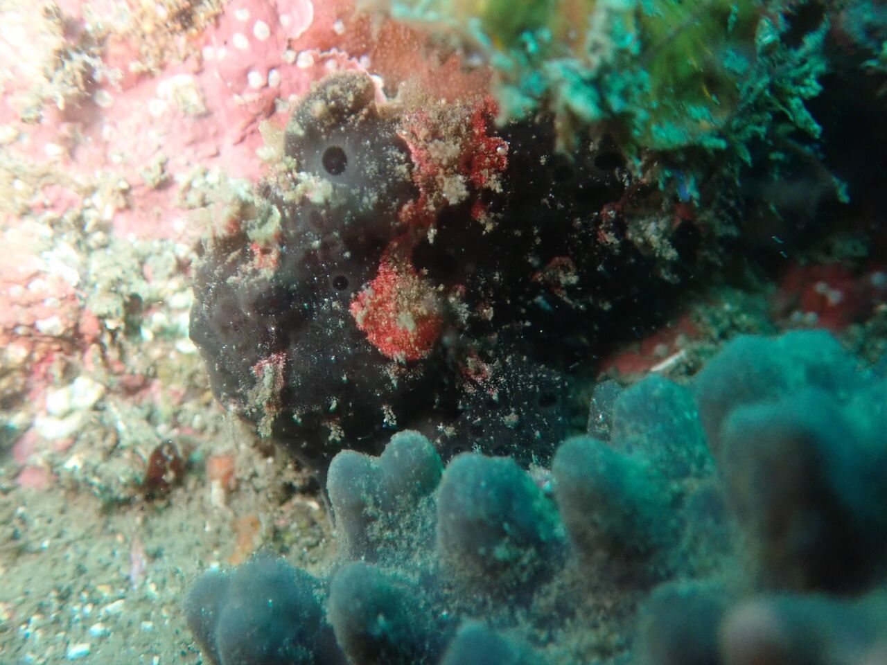 P8013183