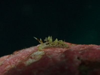 image2 (6)