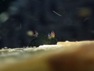 image3 (4)