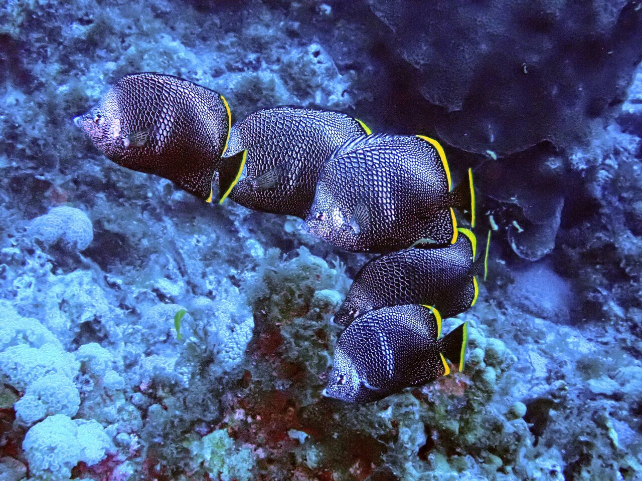 OI000658~2