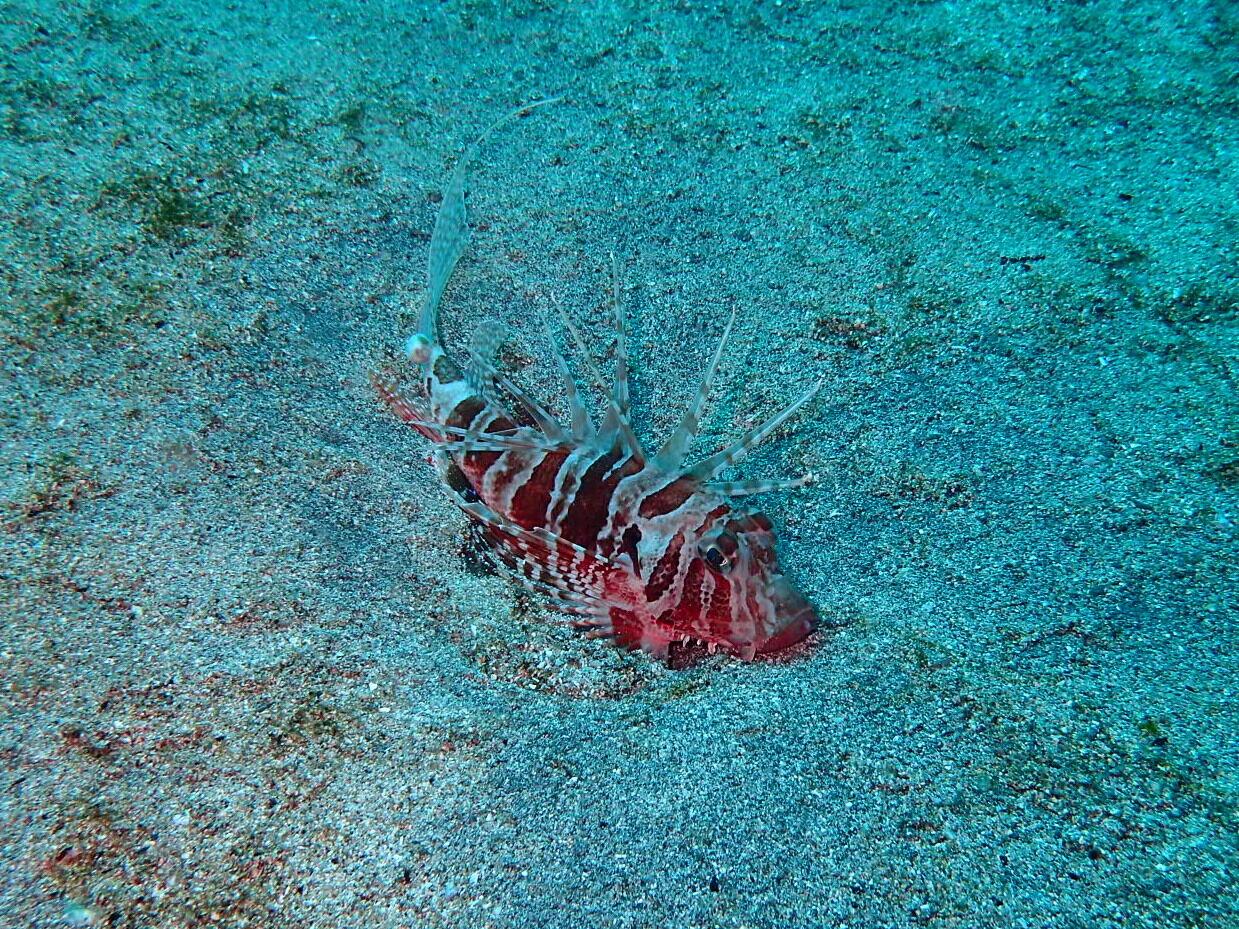 P2230035