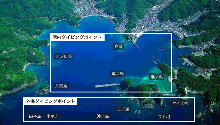 point_image01