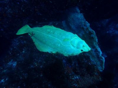 IMG_2695