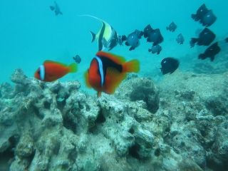 IMG_1766