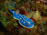 DSCF1495