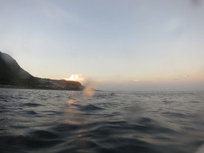 IMG_0081