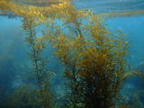 DSCF1488