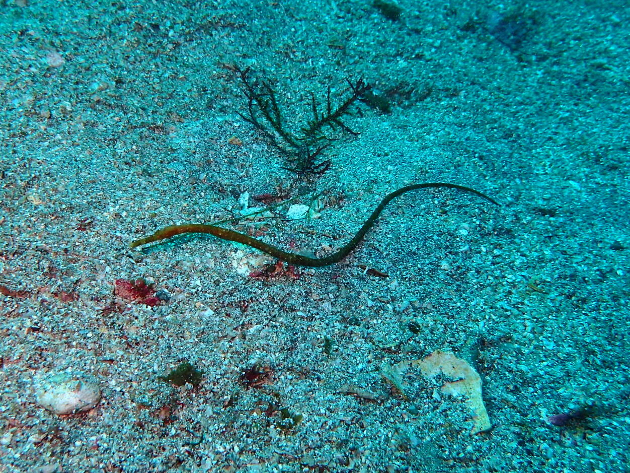 P2230014