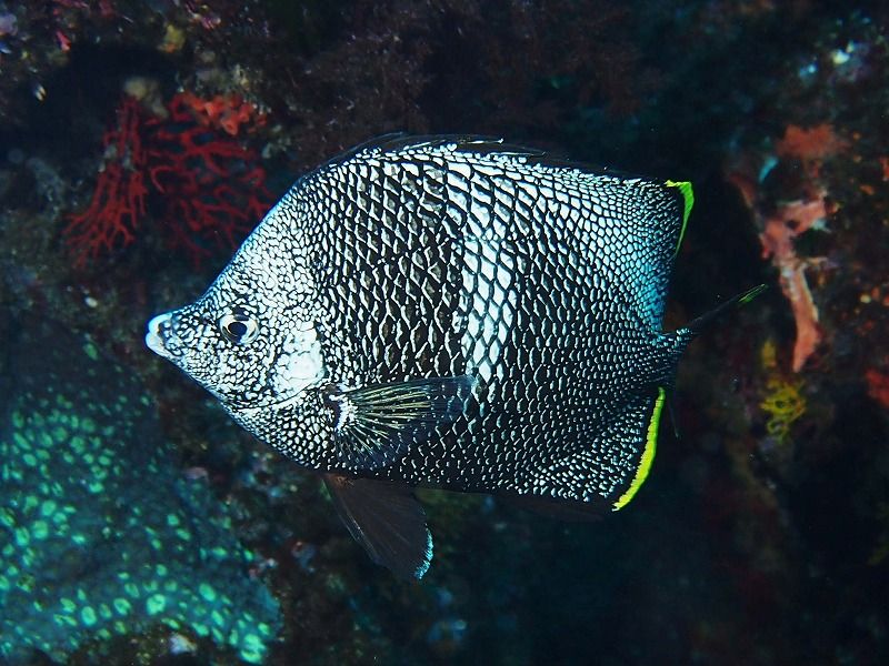 P8137840