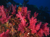 P1160165