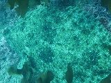 IMG_0191