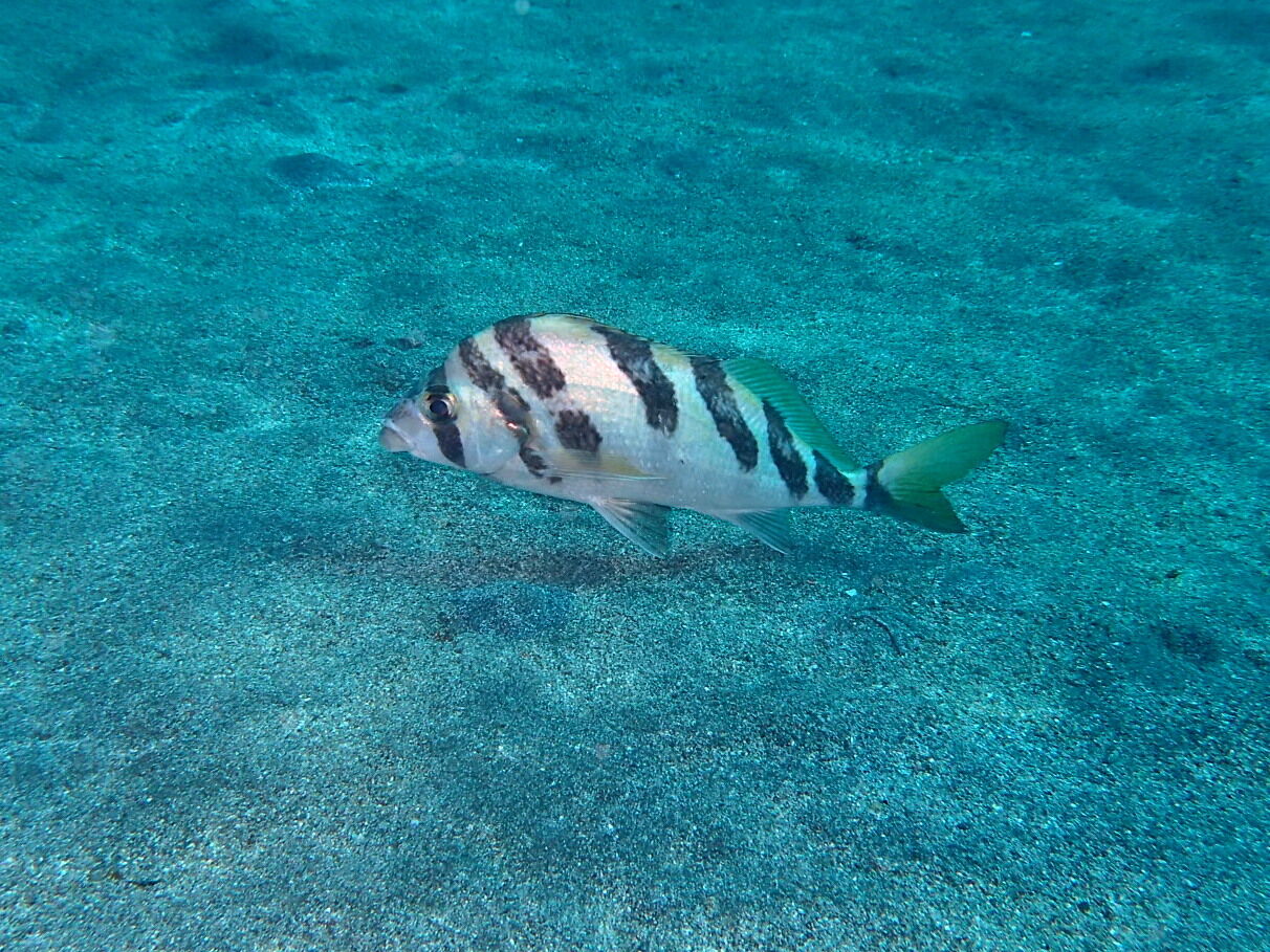 P2230032
