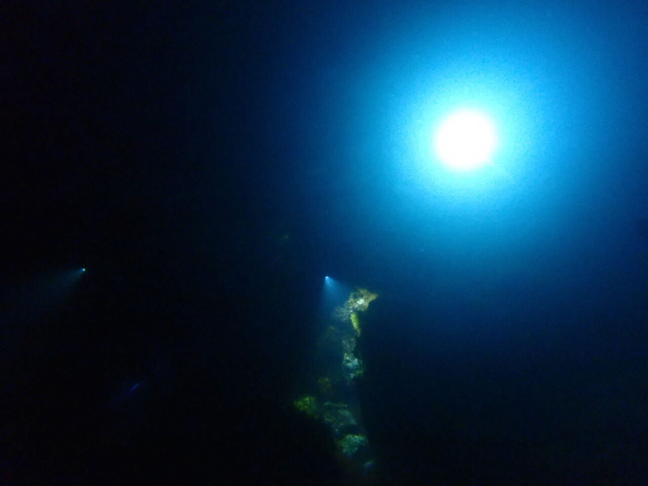 OI000028