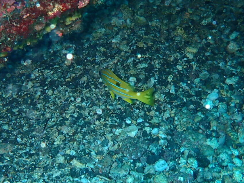 P2230018