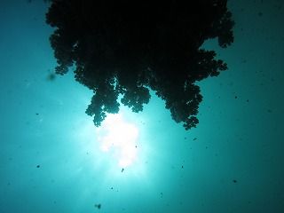IMG_0891