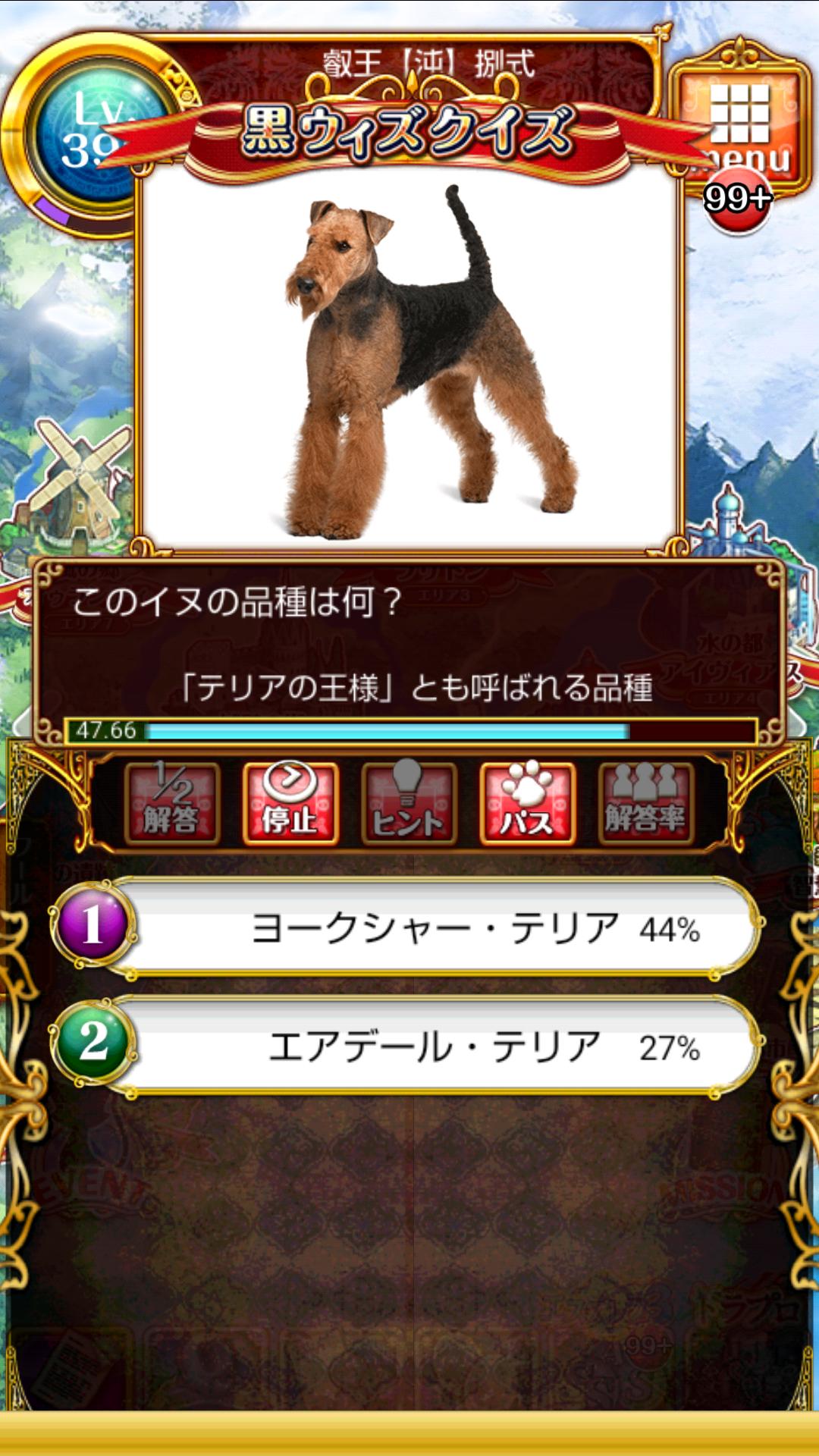 黒猫のウィズ なんやかんやで黒ウィズクイズ楽しい奴 黒ウィズにゃあ速報 黒猫のウィズ なんやかんやで黒ウィズクイズ楽しい奴 黒ウィズにゃあ速報