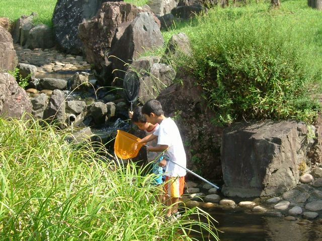 2010_0916_135919