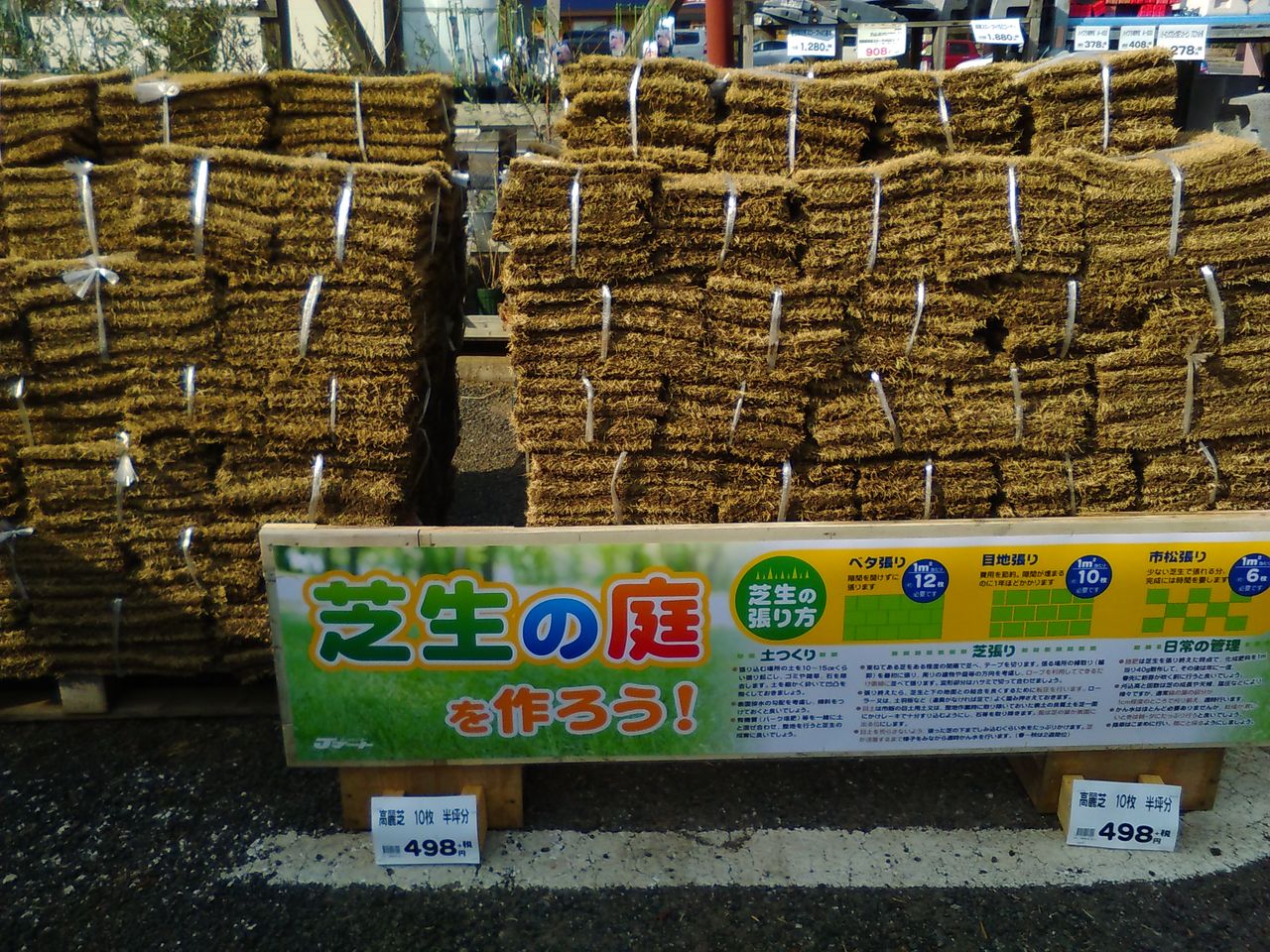 高麗芝 綿半ホームエイド坂戸店 ガーデンブログ