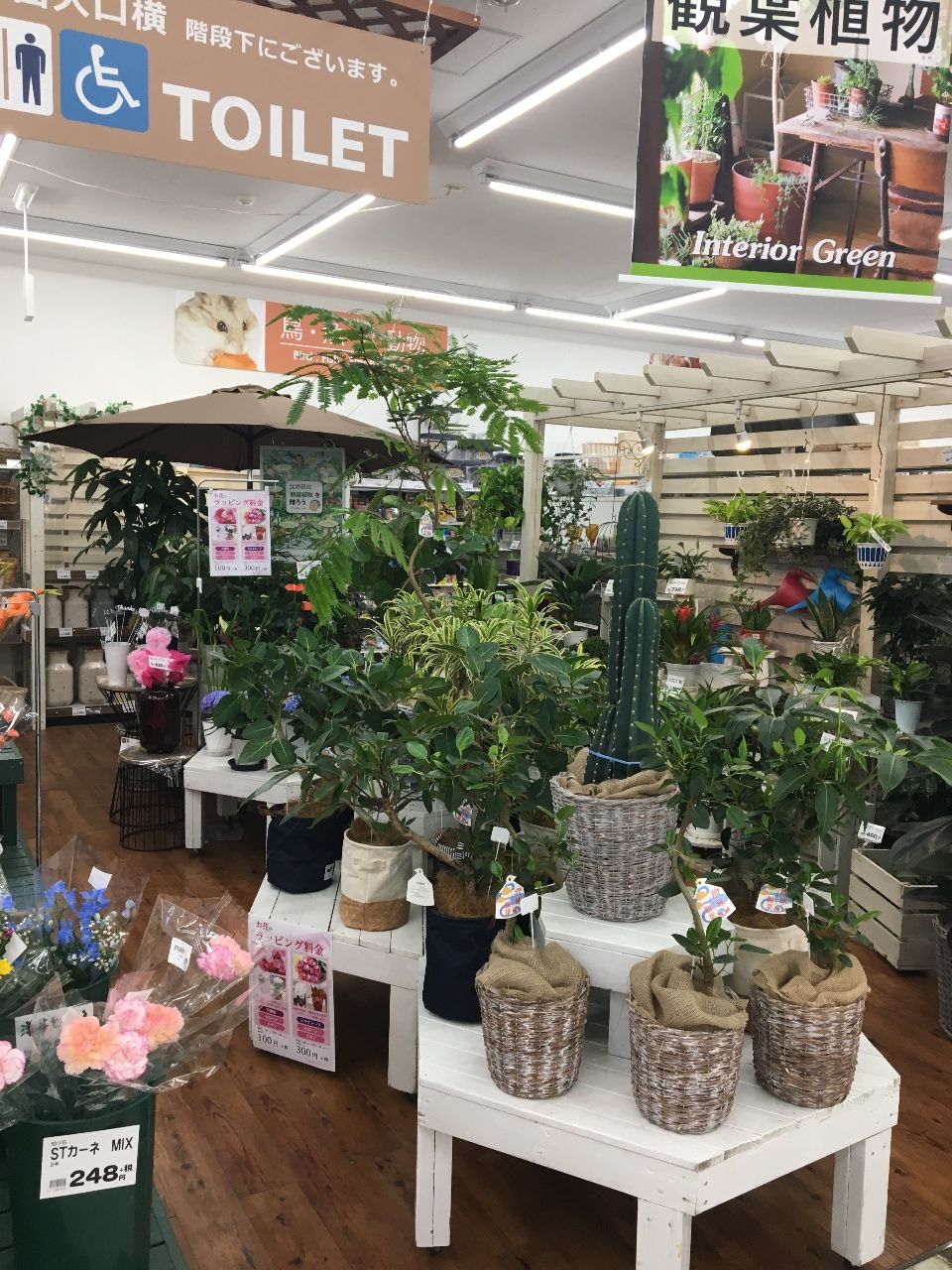 2019年05月 綿半ホームエイド坂戸店 ガーデンブログ