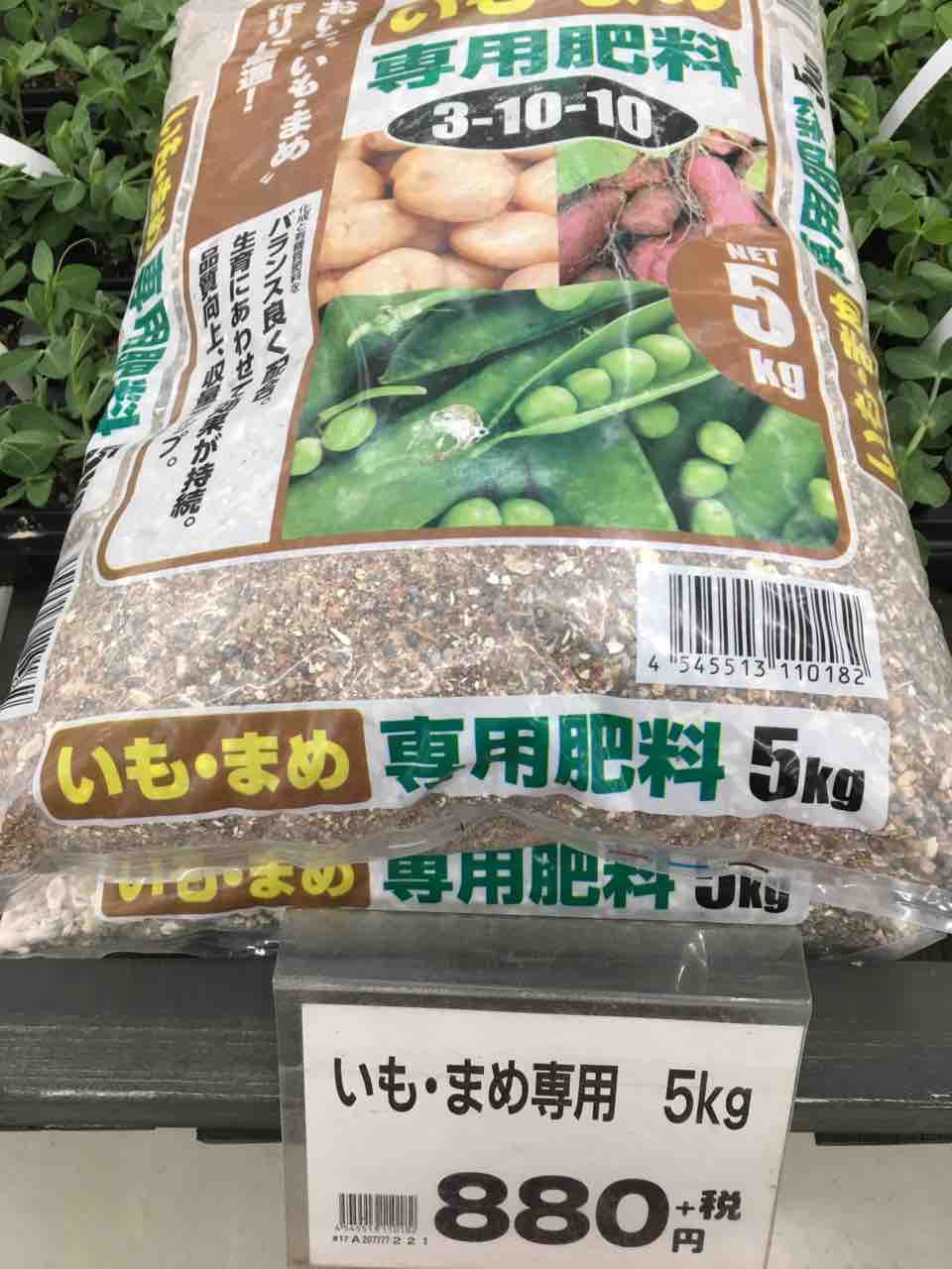 絹さやにスナップエンドウ 綿半ホームエイド都留店 ガーデンブログ