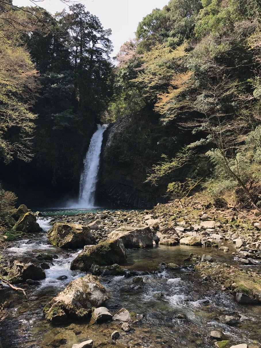 イメージ 14