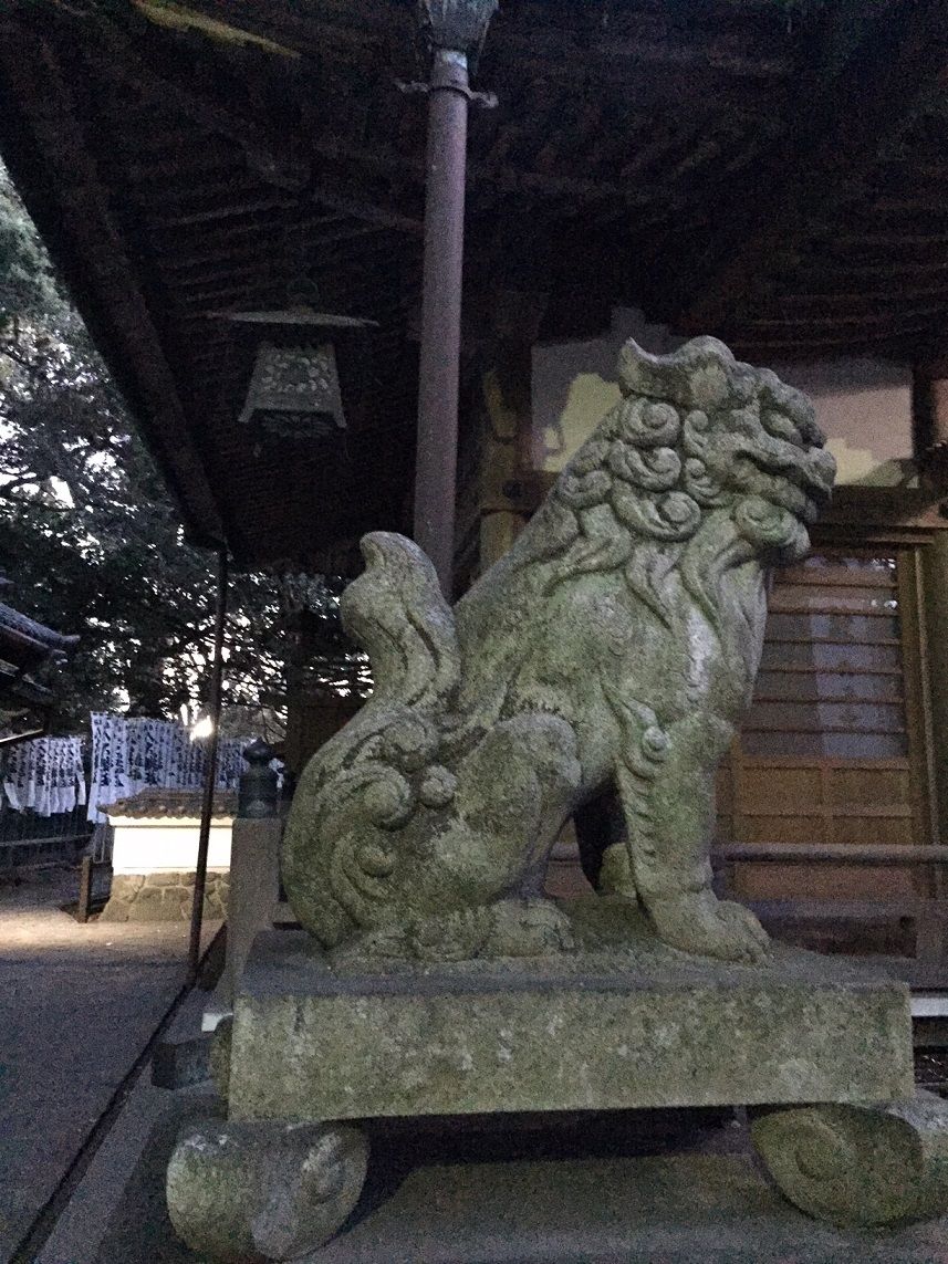イメージ 25